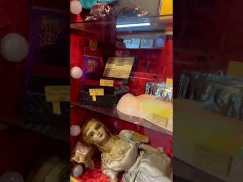 Burglars steal $20K in unusual items from Ballard curiosity shop