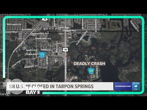 Pedestrian hit, killed in crash on US 19