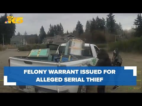 Felony warrant issued for alleged serial thief