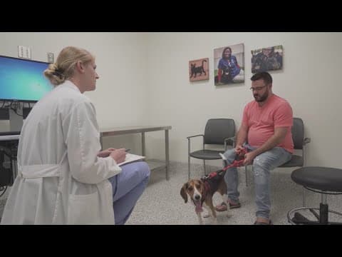 Caring for pets is getting more expensive. Here's how to reduce costs