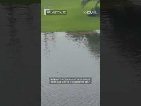 Hurricane Francine brought high water to Galveston as it moved through the Gulf