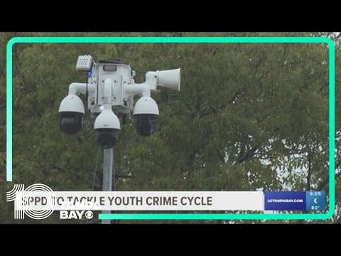 What kind of crimes are being committed by kids and when?