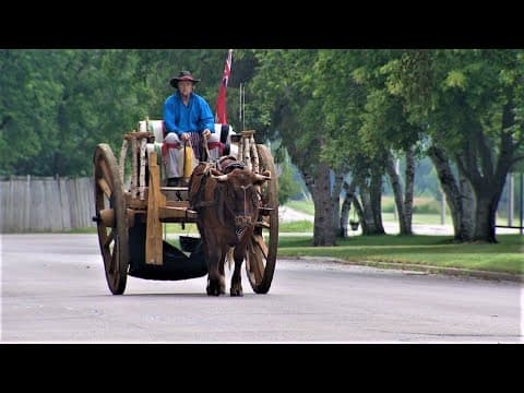 Averaging 10 miles a day, Canadian crosses Minnesota in an oxcart