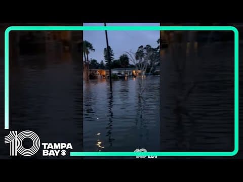 St. Pete's Shore Acres neighborhood sees flooding from powerful Gulf storm #shorts