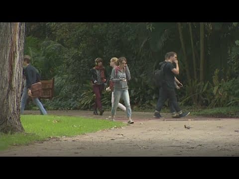 Scammers target Gen Z and college students