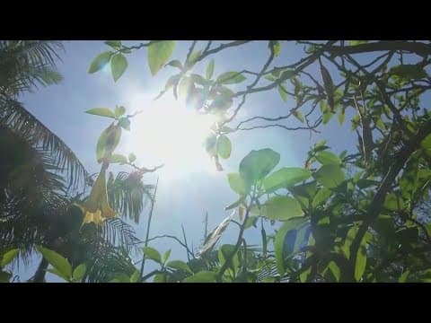 How to keep kids safe as temperatures rise