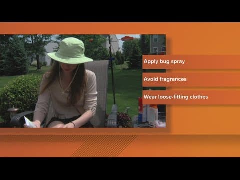 Look out for mosquito-borne illnesses this summer