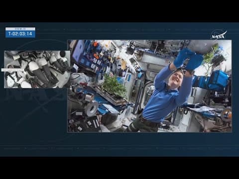 SpaceX delays crew mission to International Space Station to relieve astronauts