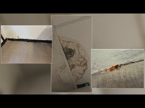 More mold found in a second Lafourche Parish school in Louisiana