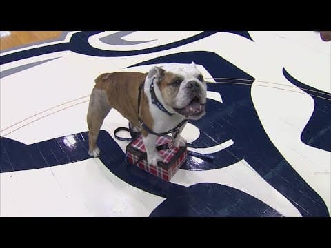 Butler Blue III dies at 12-years-old