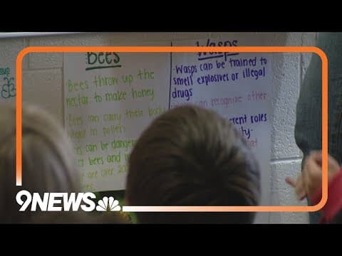 Cool Schools: Denver elementary school teaches more than lessons in the classroom