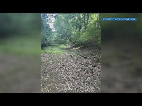 'Sleep well knowing you most certainly saved a life' | 'Concerned citizen' finds missing Cocke Count