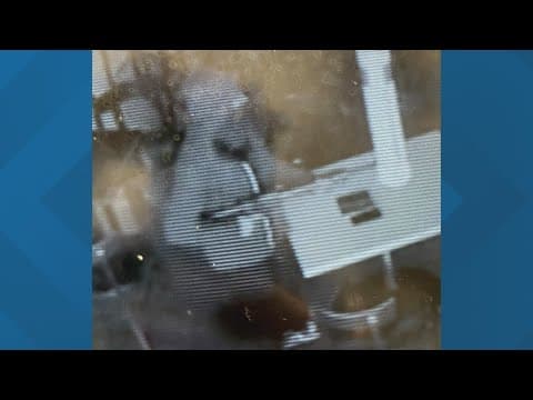 'It was to scare people' | 20 people robbed with shotgun in Ethiopian restaurant in Maryland