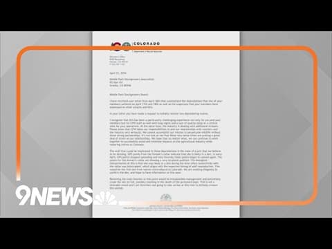 Colorado Parks and Wildlife, governor's office deny ranchers' request to kill wolves