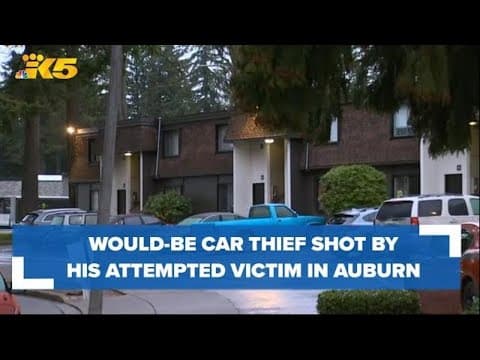 Auburn police investing attempted auto theft