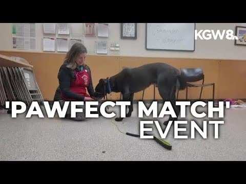 Oregon Humane Society hosts ‘Pawfect Match’ event