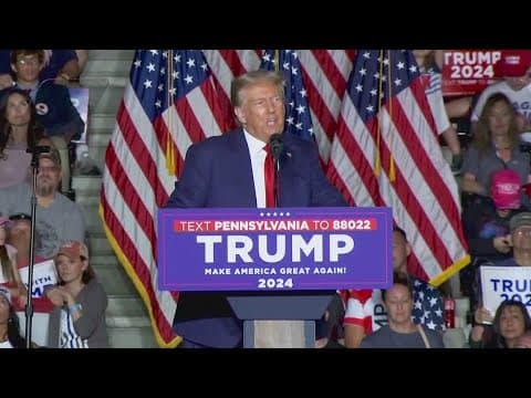 Trump is not immune from prosecution in his 2020 election interference case, US appeals court says