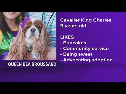 The Mystic Krewe of Barkus announces Queen Bea Broussard