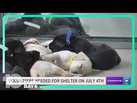 Suncoast Humane Society looking for volunteers for 4th of July fireworks