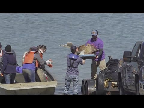 Volunteers to clean up debris left by Hurricane Helene