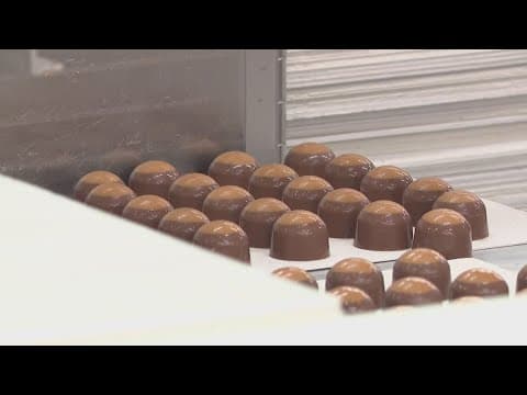 What should Ohio’s official candy be? ‘It’s gotta be the buckeye,’ one lawmaker says