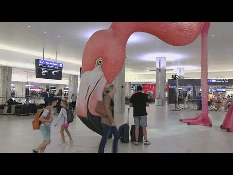 Tampa airport's flamingo turns 3 years old