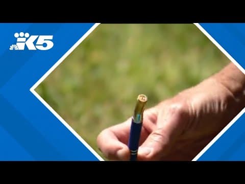 Feuding groups led to shooting at Lakewood park, police say