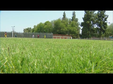 New turf field opens at Rancho Bernardo Community Park
