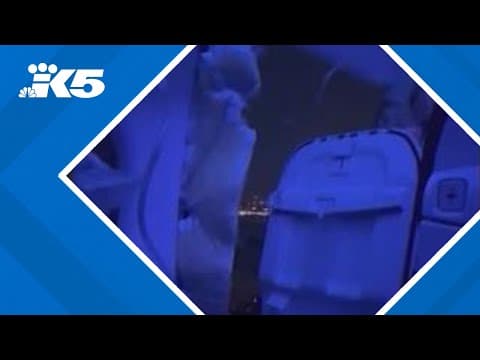 Alaska Airlines flight attendants sue airline over door plug incident