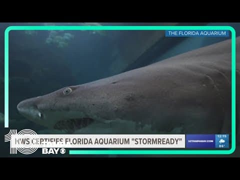 Florida Aquarium is deemed 'StormReady' by NWS