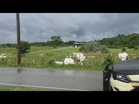 NWS leaders surveying Loudon County for further damages after possible tornado this morning