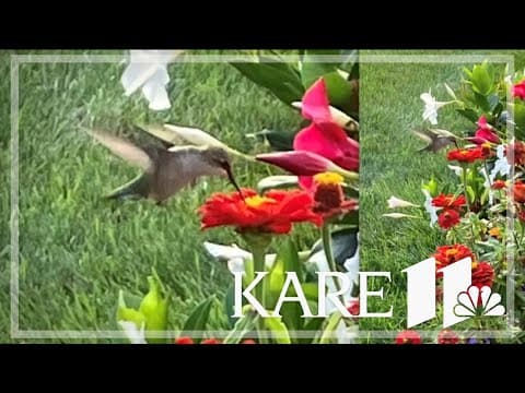 Your Good News: Steve, Diane, Richard