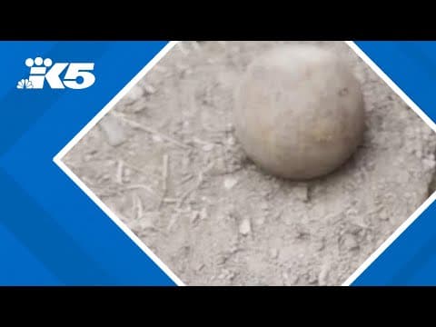 Vancouver woman finds cannonball in backyard while gardening
