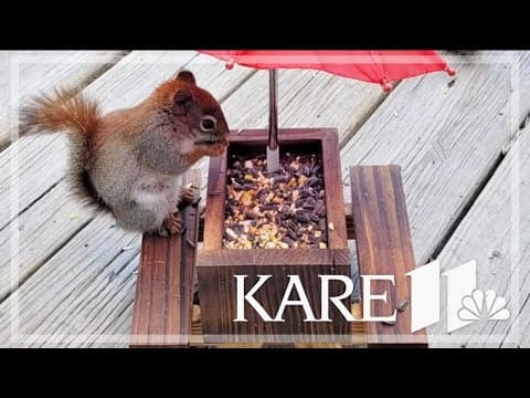 Your Good News: Tom Hauer, Evangeline Richards, Amy Yungner