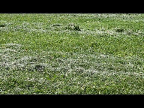 Neighbor accused of shooting man mowing near property line in Montgomery County