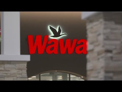 New Wawa opening in Tampa, givign away free coffee