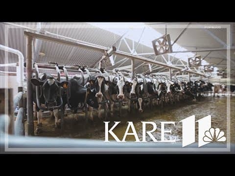 Bird flu infecting more animals