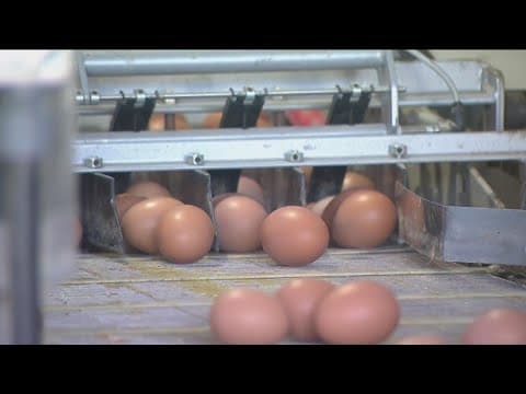 Egg seizures at border crossings on the rise amid shortage