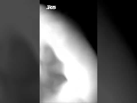 Camera captures bears roaming Ravensdale property