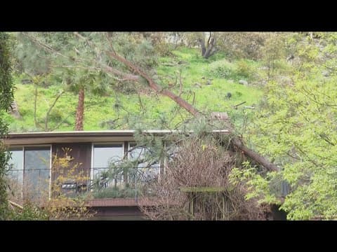 Another winter storm hits San Diego leaving flooding and downed trees behind