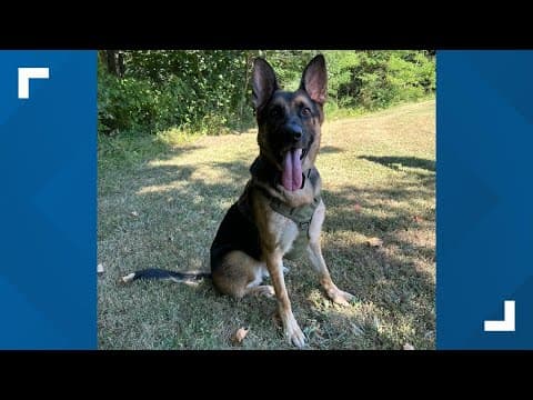 K-9 helps locate 2 missing 11-year-olds in Hoosier National Forest