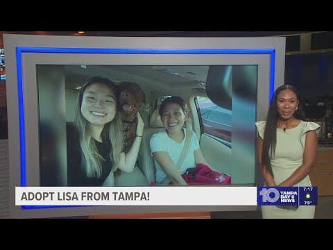 Give Lisa from Tampa a fur-ever home!
