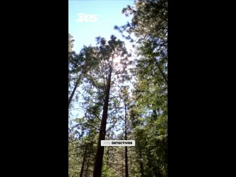 Drone spots shirt linked to Travis Decker in remote search area