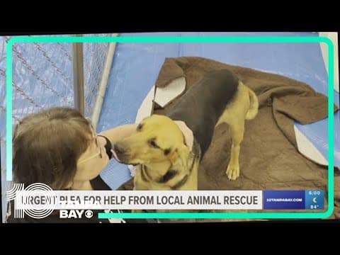 A Sarasota animal rescue is asking for donations after taking in 18 dogs