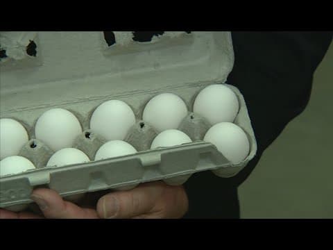 64,000 eggs donated to Capital Area Food Bank