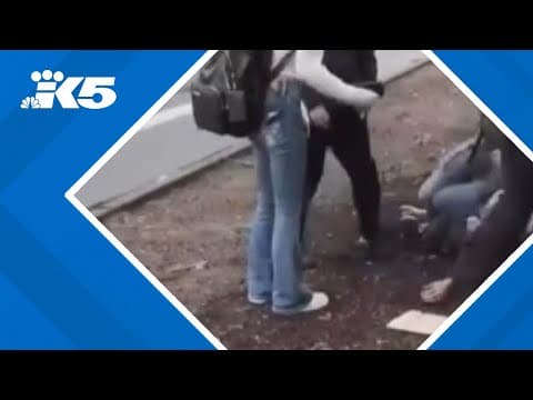 Teen testifies against parents in Lacey attempted murder trial