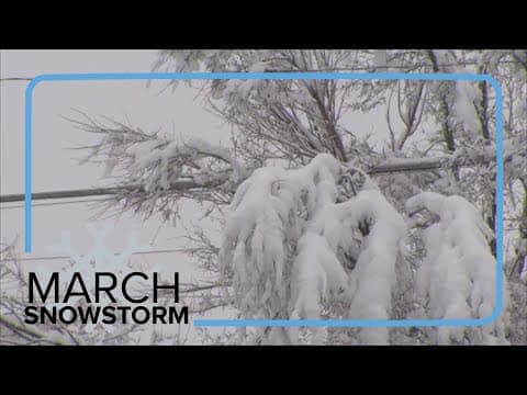 Xcel working to restore power outages amid heavy snowfall