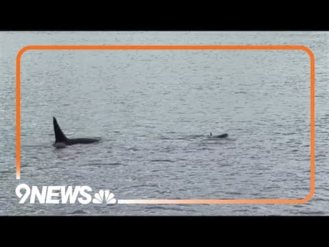 Science at Sea with Steve Spangler