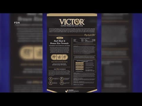 Dog Food Recall: Federal regulators find salmonella in samples of pet food