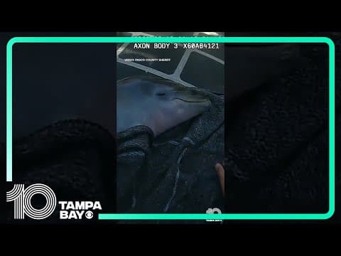 YouTube thumbnail for video IUsWQZ2Mgo8